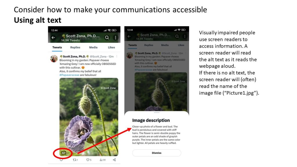 Consider how to make your communications accessible Using alt text Image shown with and without alt text. Visually impaired people use screen readers to access information. A screen reader will read the alt text as it reads the webpage aloud. If there is no alt text, the screen reader will (often) read the name of the image file (“Picture1.jpg”). 