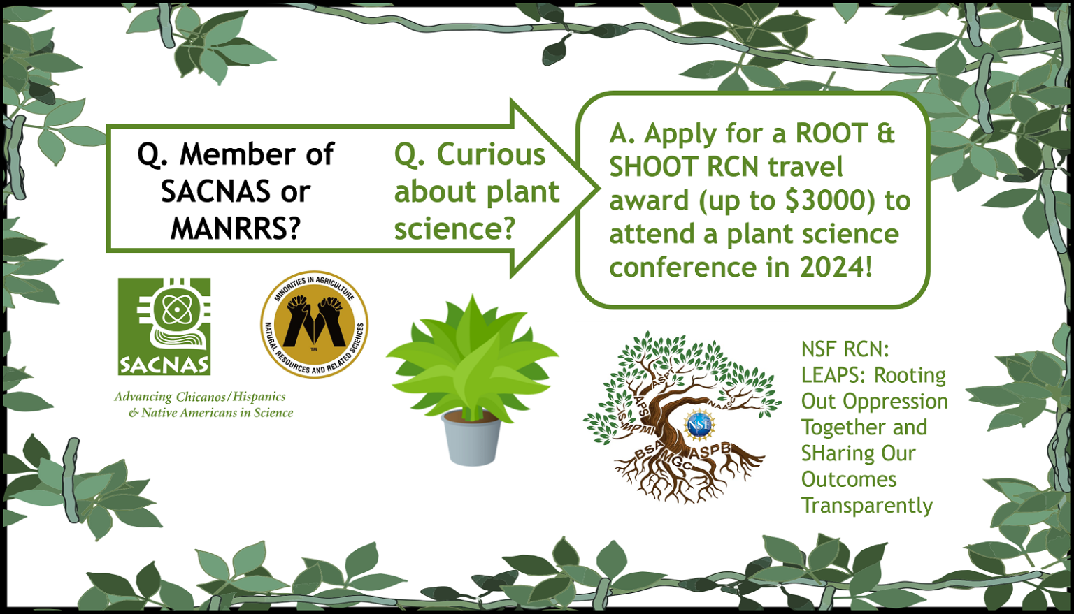 ROOT & SHOOT SACNAS/MANRRS 2024 travel award application open ROOT